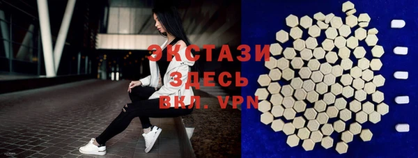 индика Алексин