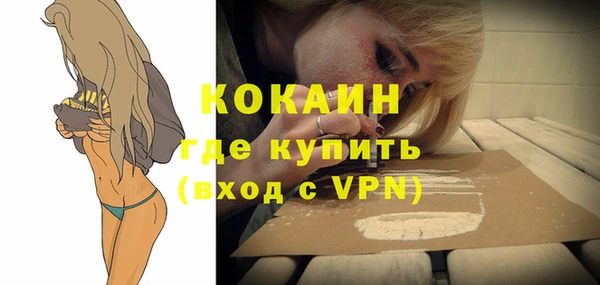индика Алексин