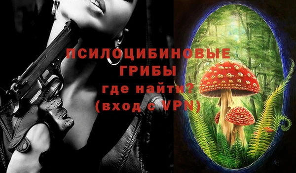 хмурый Алексеевка