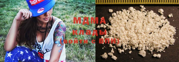 индика Алексин