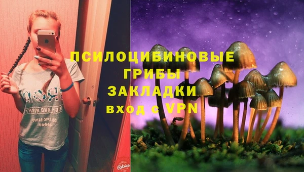 хмурый Алексеевка