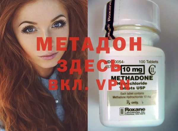 индика Алексин