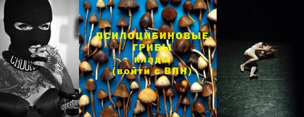 хмурый Алексеевка