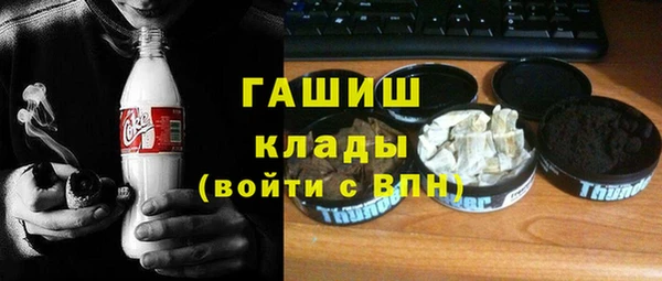 индика Алексин