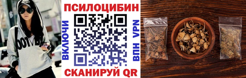 дарнет шоп Кремёнки Галлюциногенные грибы Psilocybine cubensis